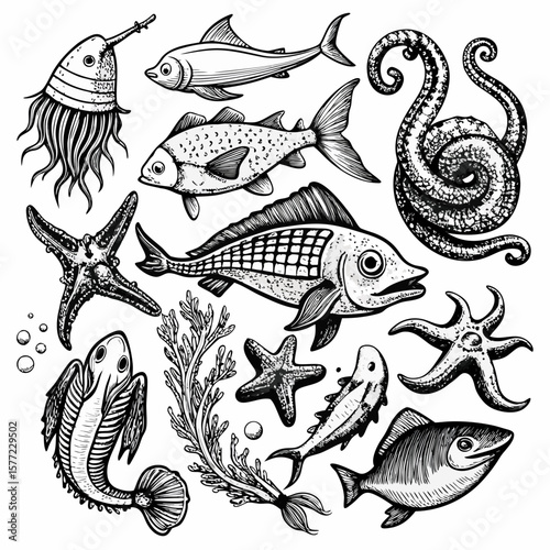 vector set of sea animals