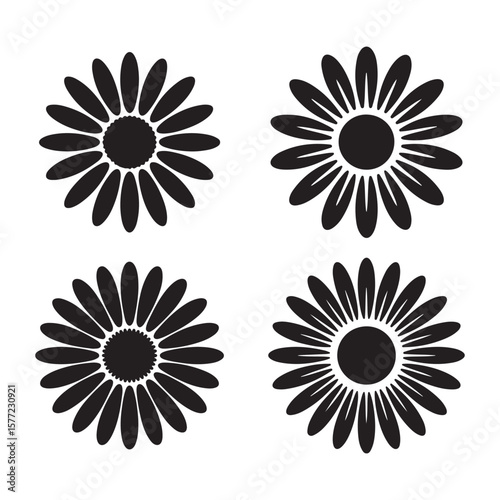 Black daisy flower silhouettes white