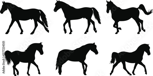 A collection of horse silhouettes in various poses against a Transparent background
