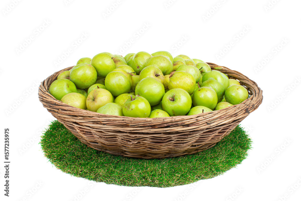 a basket of green apples on a green grass a basket of green apples on a green grass