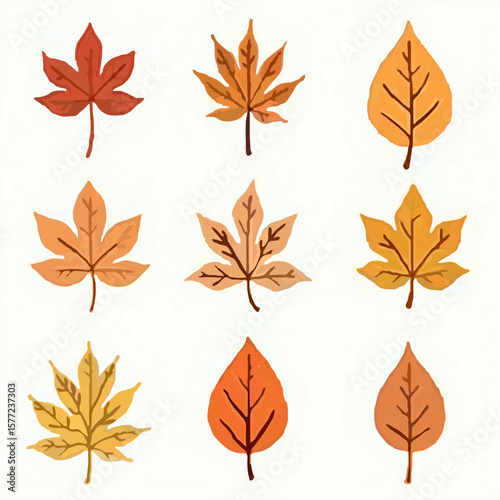 Autumn Leaves Set Illustration on White Background

