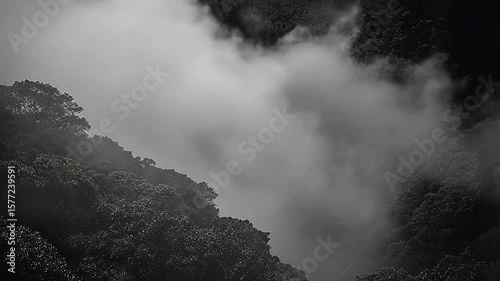 Misty Mountain Landscape
