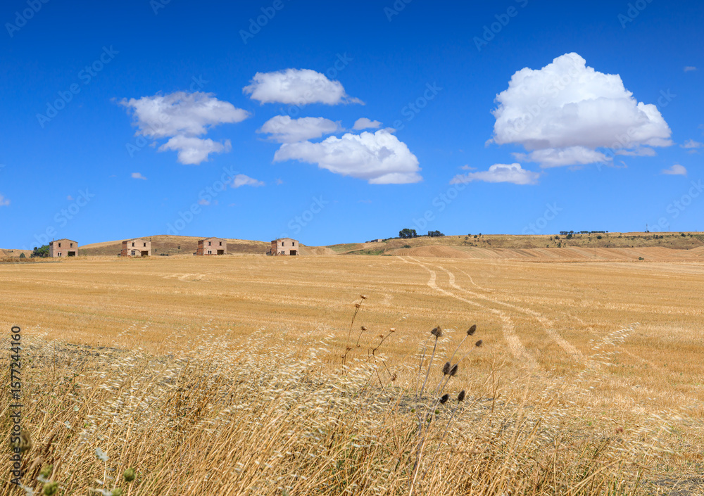 Obraz premium Summer hilly landscape with harvested fields in Apulia, Italy: abandoned farmhouses in the background.