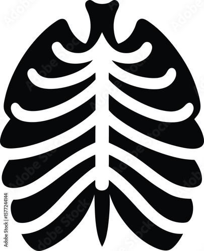 Rib Cage Anatomy Illustration Black and White Vector Graphic