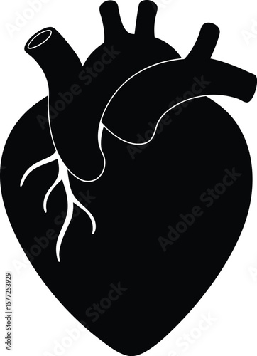 Monochrome Silhouette of a Human Heart Displaying Anatomical Features for Medical Illustrations and Educational Resources
