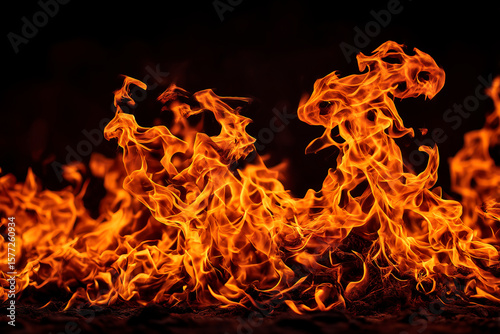 Scene of a forest engulfed in flames