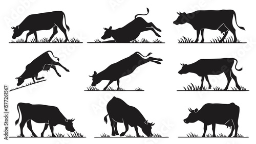 Collection of silhouetted cows in various poses grazing and jumping on a white background