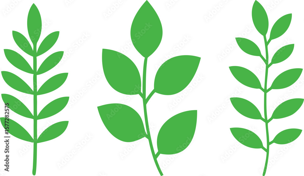 Fototapeta premium Three simple green plant stems with leaves on a white background