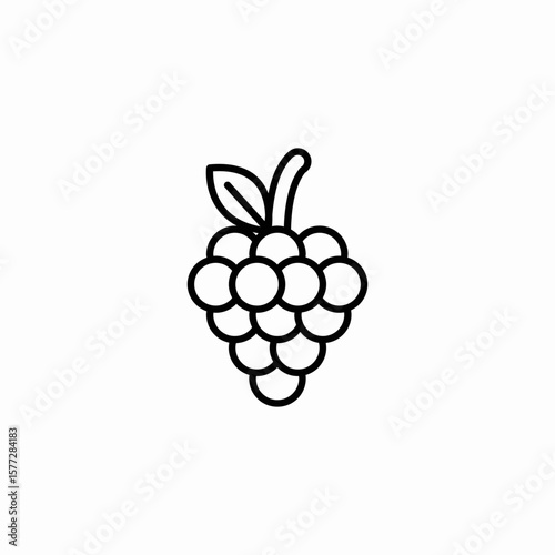 grape cluster icon sign vector