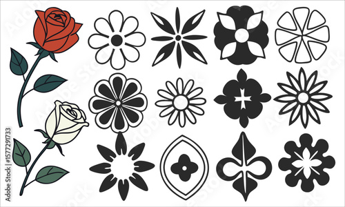 Floral motifs and roses flower graphic