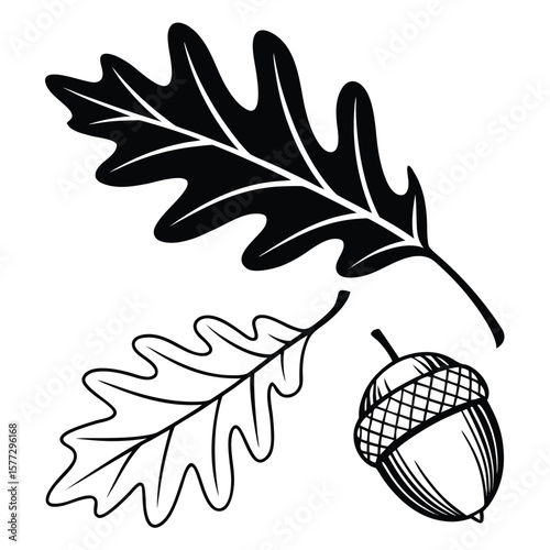 Two oak leaves and one acorn appear against a clean transparent backdrop