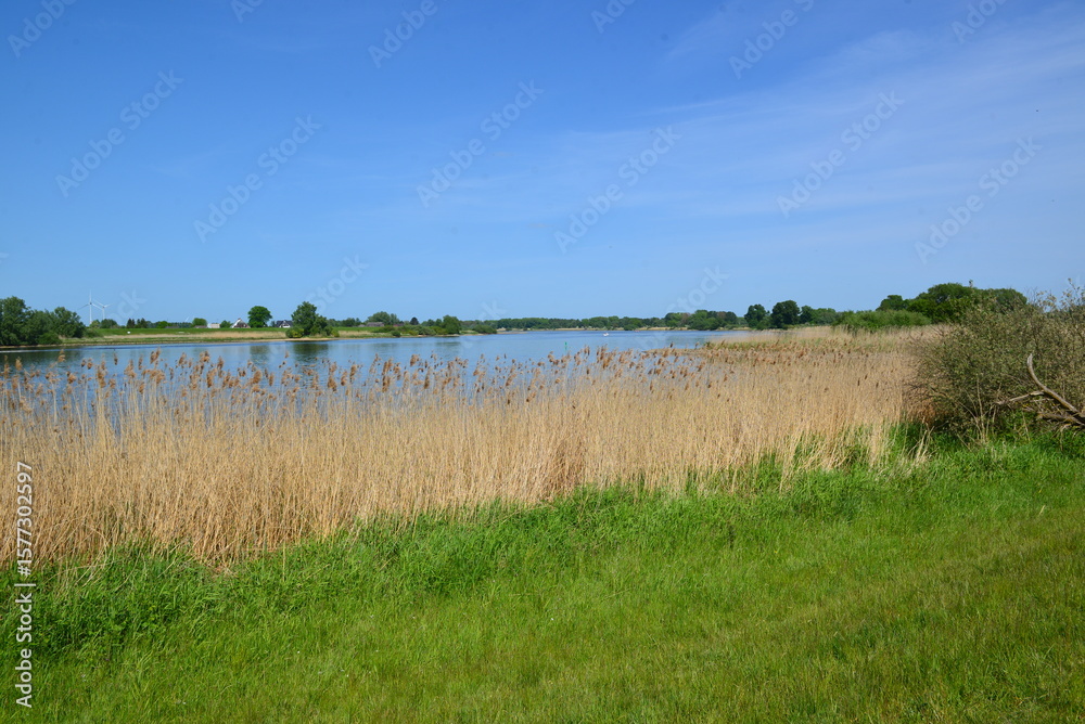 Fototapeta premium Elbe-084 