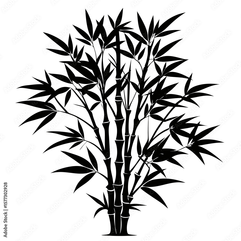 Obraz premium bamboo vector illustration