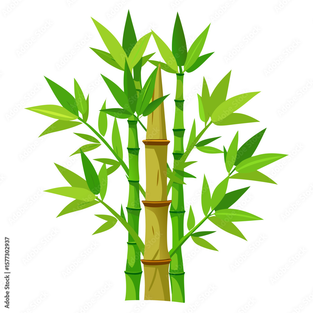 Obraz premium bamboo leaves isolated on white