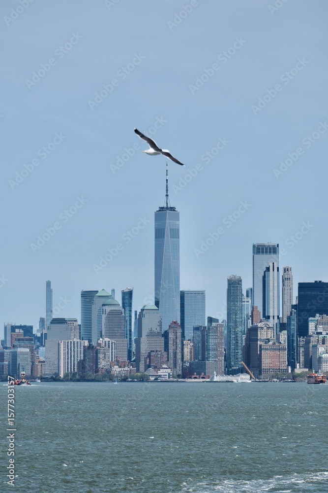 Obraz premium New York City Skyscrapers Views Skyline