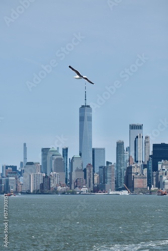New York City Skyscrapers Views Skyline