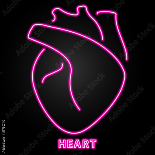 heart organ neon sign, modern glowing banner design, colorful modern design trends on black background. Vector illustration.