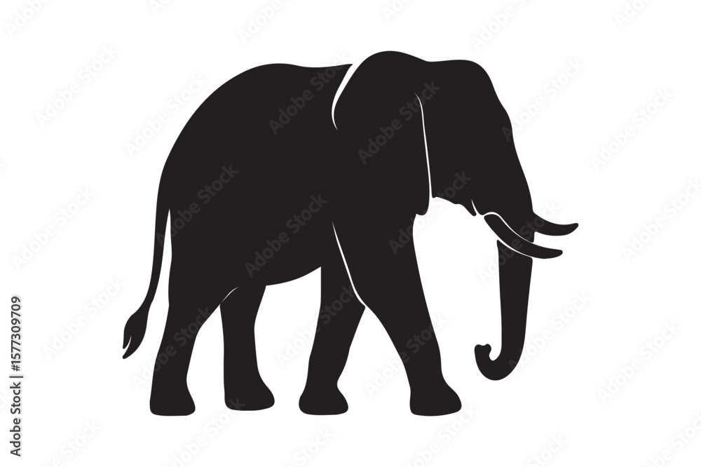 Fototapeta premium black color silhouette Elephant