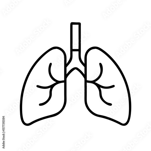 Lung organ line illustration, minimal style, isolated full vector