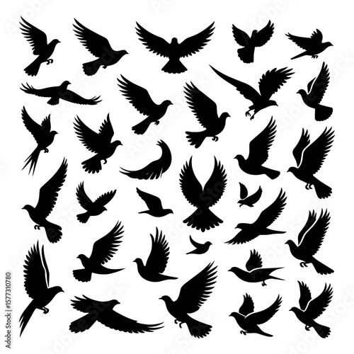 A set of vector birds silhouette