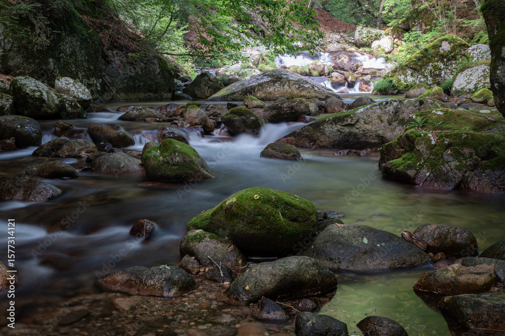 山梨県北杜市の本谷川の渓流 山梨県北杜市の本谷川の渓流