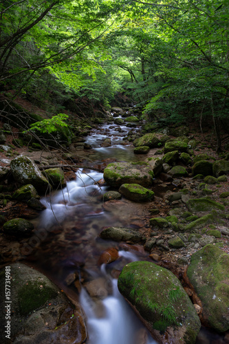 山梨県北杜市の本谷川の渓流