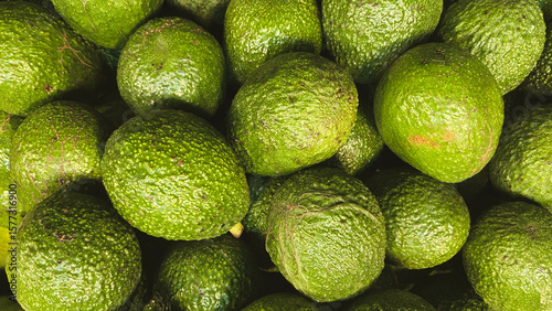 Fresh Green Avocados with Rough Skin Texture for Healthy Food and Nutrition Content