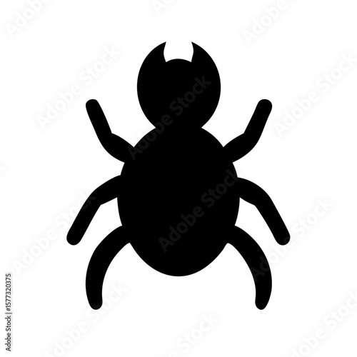 Spider: Intriguing Arachnids of Nature