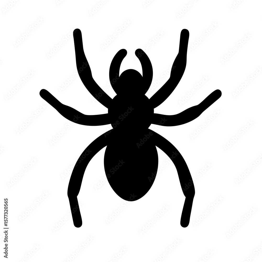 Obraz premium Spider: Intriguing Arachnids of Nature