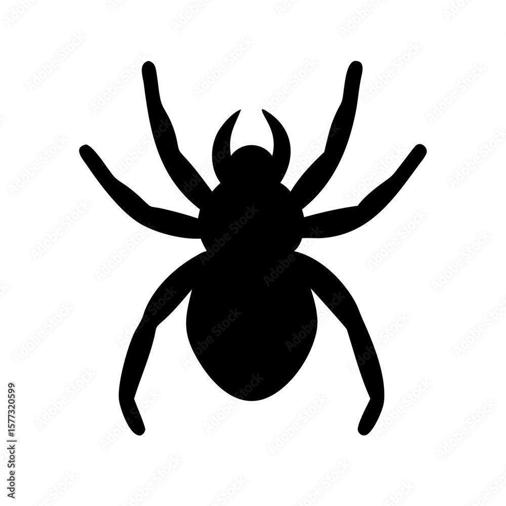 Obraz premium Spider: Intriguing Arachnids of Nature