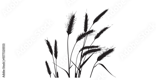 Dark wheat stalks against a bright white background silhouette