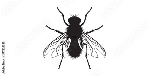 Detailed black and white illustration of a fly in silhouette style
