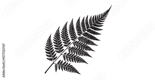 Detailed black fern leaf silhouette against a clean white background