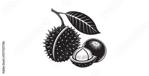 Spiky fruit and leaf in a classic black and white silhouette style