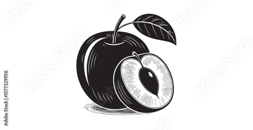 Detailed black and white illustration of a whole plum and a halved plum silhouette