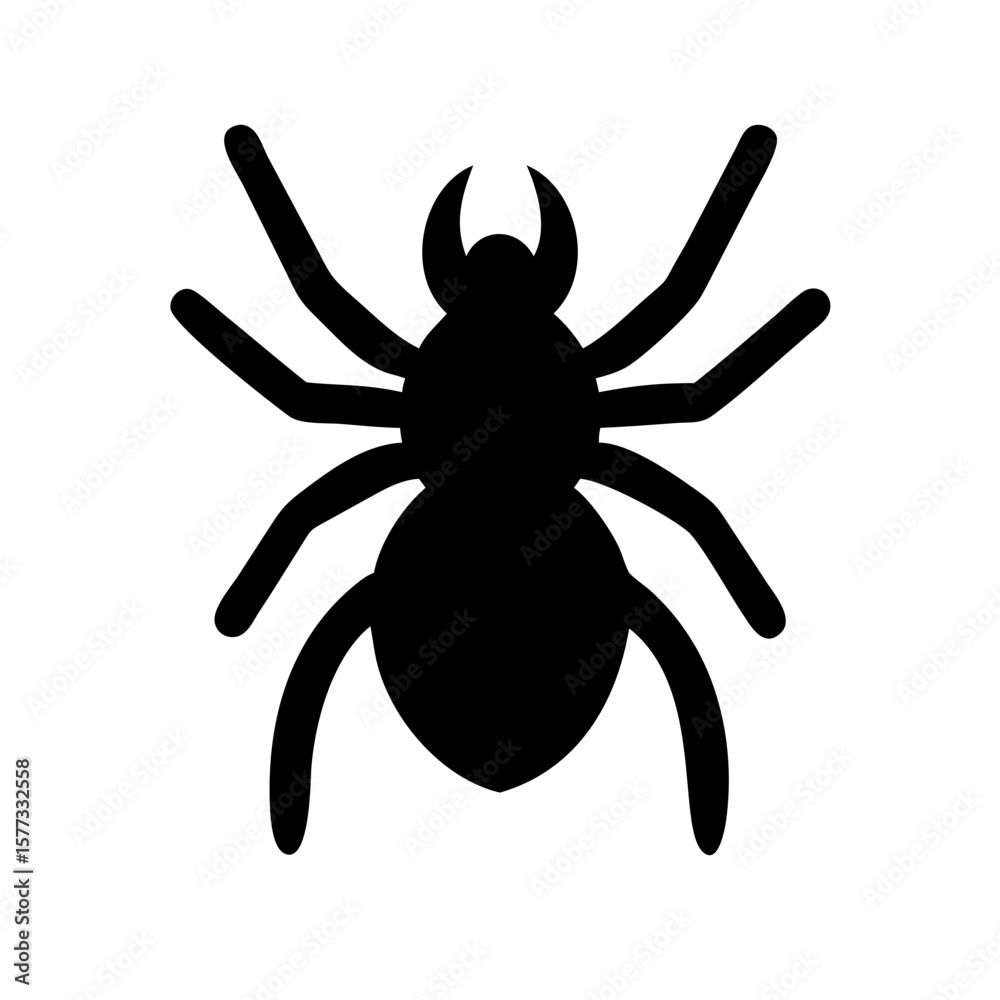 Obraz premium Spider: Intriguing Arachnids of Nature