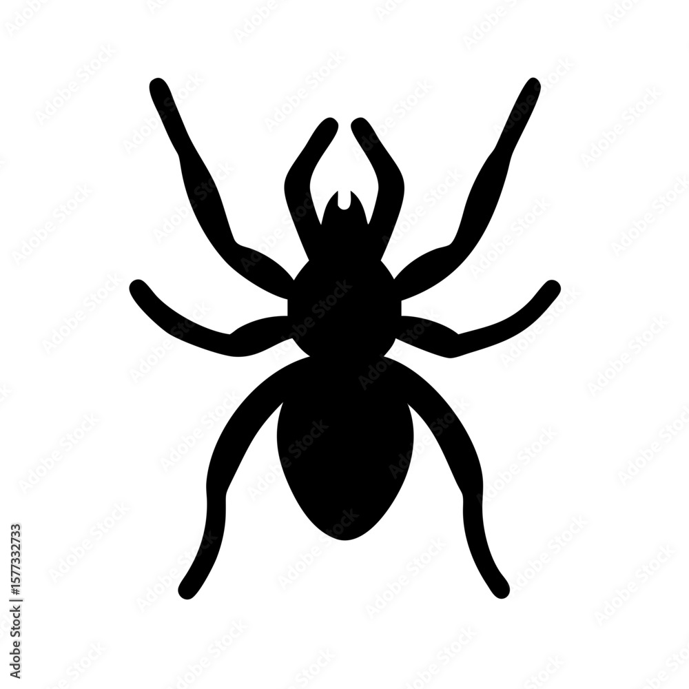 Obraz premium Spider: Intriguing Arachnids of Nature