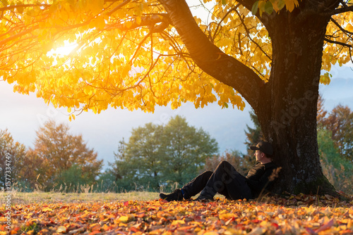 Φωτογραφία Golden sunset bathes old cherry tree and lone man in autumn clearing