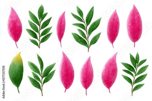 Collection of watercolor painted leaves pink and green on white Leaf Botanical