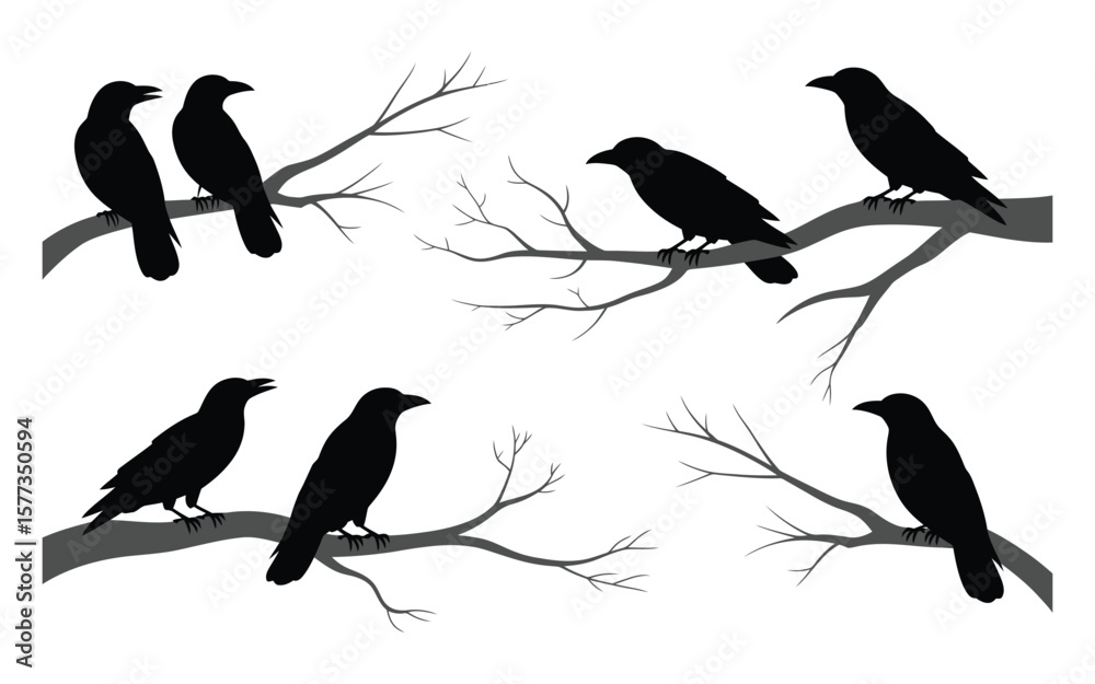 Fototapeta premium Black Crows Silhouettes on Grey Branches White Background Bird Illustration Set Ravens Wildlife Nature