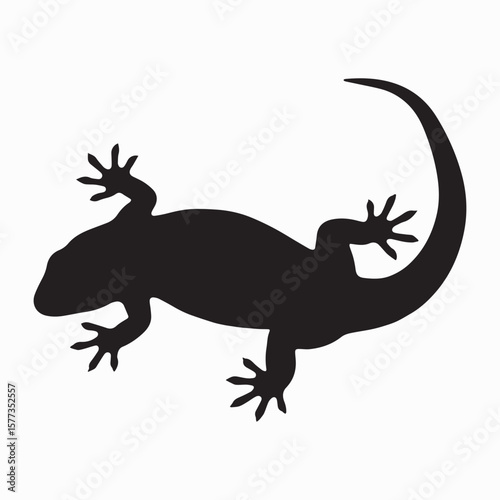 Salamander silhouette image Silhouette White background. 