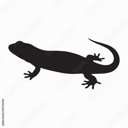 Salamander silhouette image Silhouette White background. 