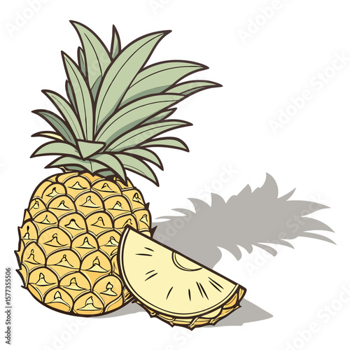 vector illustration of pineapple