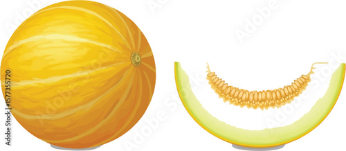 A whole yellow melon and a slice of melon on a white background view