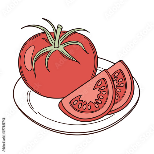 vector illustration of tomato