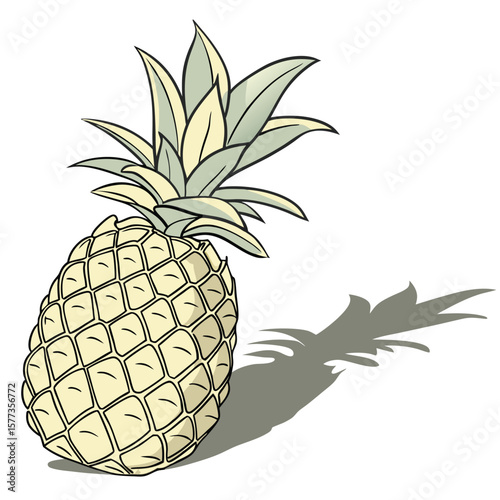 pineapple vector illustration