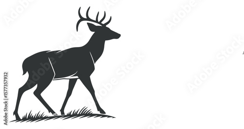 Dark Silhouette of a Buck with Antlers Walking in Grass
