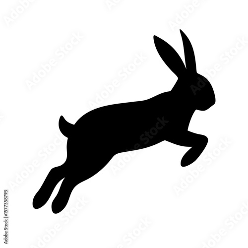 Jumping Rabbit: The Agile and Adorable Hopper