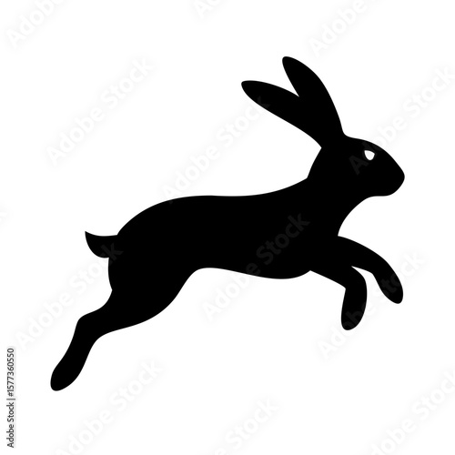 Jumping Rabbit: The Agile and Adorable Hopper