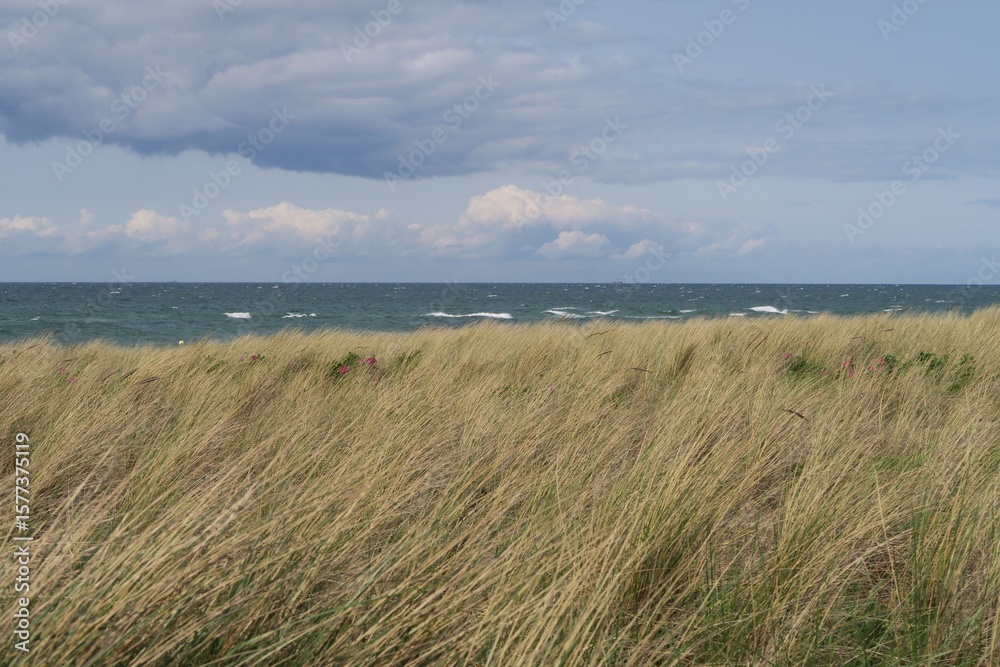 custom made wallpaper toronto digitalWellen der Ostsee sind hinter Strandhafer in Dierhagen auf der Halbinsel Fischland in Mecklenburg-Vorpommern zu sehen. Es ist ein teils bewölkter Sommertag und stürmische See.